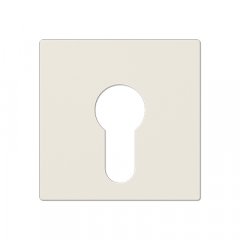 Virsma slēdzim ar atslēgu, termoplasts, Serie AS, ziloņkaula