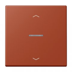 JUNG HOME taustiņš 1-viet, ar bultiņu simboliem<br />
, Serie LS, l'ocre rouge