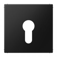 Virsma slēdzim ar atslēgu, termoplasts lakots, Serie LS, grafīta melns matēts