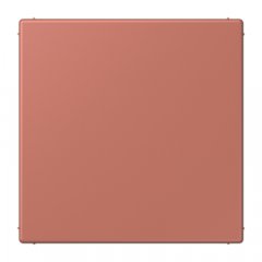 Nosedzošais vāks (tukša virsma), termoplasts lakots, Serie LS, terre sienne brique