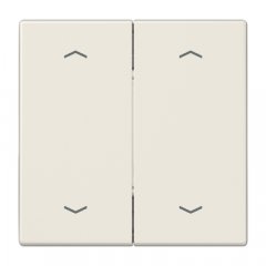 EnOcean slēdzis-raidītājs kanālu skaits 4, bultiņas simbols, Serie LS, ziloņkaula