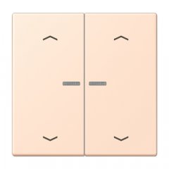 JUNG HOME taustiņš 2-viet, ar bultiņu simboliem<br />
, Serie LS, rose pâle