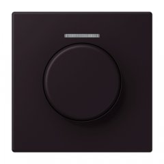 Centrālplate ar indikācijas logu KNX rotējošajam sensoram, Serie LS, noir d'ivoire