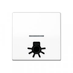 Taustiņs 1-viet, ar indikācijas logu un spuldzes simbolu, duroplasts antibakteriāls, Serie AS, balts