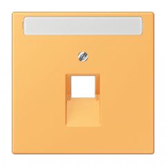 Virsma IAE/UAE-datu rozetei 1 x 8-polig, marķējams, termoplasts lakots, Serie LS, ocre jaune clair