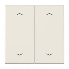 Taustiņs KNX slēdzim, ar virzienrādītāju 2-viet, duroplasts, Serie LS, ziloņkaula