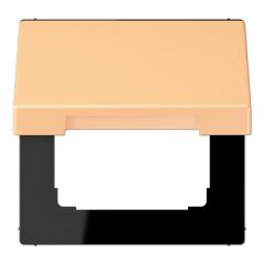 Rozetes vāks ar atsperi, termoplasts krāsots, Serie LS, terre sienne claire 59