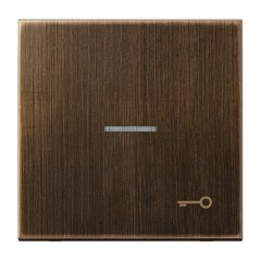 Taustiņš ar indikācijas logu, ar simbolu, Messing, Serie LS, Messing antik