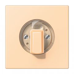 Virsma ar grozāmu slēdzi, Serie LS, ocre