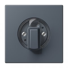 Virsma ar grozāmu slēdzi, Serie LS, gris fonce 59