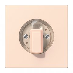 Virsma ar grozāmu slēdzi, Serie LS, orange pâle