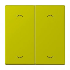 Taustiņs KNX slēdzim, ar virzienrādītāju 2-viet, Serie LS, vert olive vif