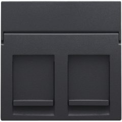 Central plate data 2x RJ, anthracite coated