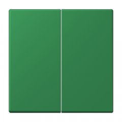 Taustiņs 2-viet, Serie LS, vert foncé