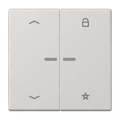 eNet taustiņš unversālais 2-viet, ar bultiņu simboliem<br />
, duroplasts, Serie LS, gaiši pelēks