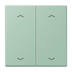 Taustiņs KNX slēdzim, ar virzienrādītāju 2-viet, Serie LS, vert anglais clair