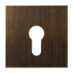 Virsma slēdzim ar atslēgu, Messing, Serie LS, Messing antik