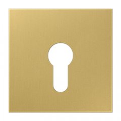 Virsma slēdzim ar atslēgu,  Serie LS, misiņš