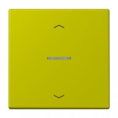 JUNG HOME taustiņš 1-viet, ar bultiņu simboliem<br />
, Serie LS, vert olive vif
