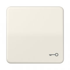 Taustiņš, ar simbolu, duroplasts, Serie CD, ziloņkaula