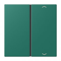 Taustiņs slēdzim 1-viet, ar virzienrādītāju, F40, Serie LS, vert anglais