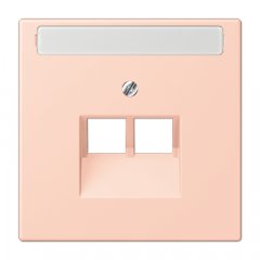 Virsma IAE/UAE-datu rozetei 2 x 8-polig, marķējams, termoplasts lakots, Serie LS, l'ocre rouge clair