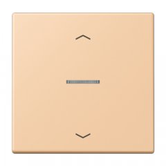 JUNG HOME taustiņš 1-viet, ar bultiņu simboliem<br />
, Serie LS, terre sienne claire 31