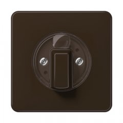 Virsma ar grozāmu slēdzi, duroplasts, Serie CD, brūns