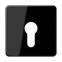 Virsma slēdzim ar atslēgu, termoplasts, Serie CD, melns