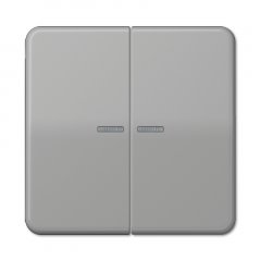 Taustiņs KNX slēdzim ar indikācijas logu 2-viet, duroplasts, Serie CD, grau