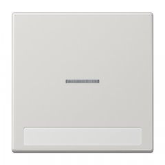 Taustiņs 1-viet, ar indikācijas logu, marķējams, duroplasts, Serie LS, gaiši pelēks