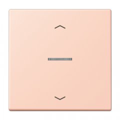 JUNG HOME taustiņš 1-viet, ar bultiņu simboliem<br />
, Serie LS, l'ocre rouge clair