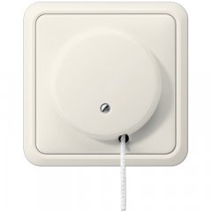 Pārslēdzis ar auklu 10A 250V ziloņkaula CD500