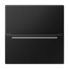 RFID kartes turētājs (bez mehānisma), Serie LS, grafīta melns matēts