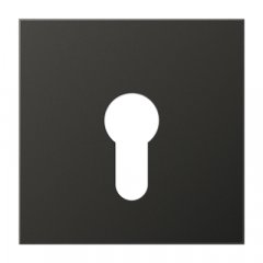 Virsma slēdzim ar atslēgu, Aluminium lackiert, Serie LS, antracīts (lakots alumīnijs)
