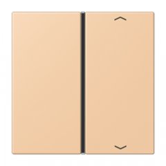 Taustiņs slēdzim 1-viet, ar virzienrādītāju, F40, Serie LS, terre sienne claire 31