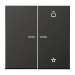 eNet taustiņš unversālais 2-viet, Aluminium lackiert, Serie LS, antracīts (lakots alumīnijs)