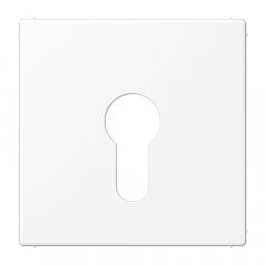 Virsma slēdzim ar atslēgu, termoplasts lakots, Serie LS, sniegbalts matēts