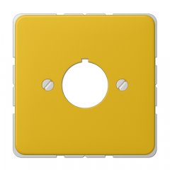 Virsma komunikāciju rozetei 22,5 mm Ø, duroplast, Serie CD, dzeltens