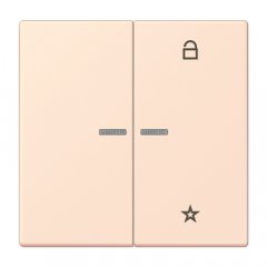 eNet taustiņš unversālais 2-viet, duroplasts, Serie LS, orange pâle