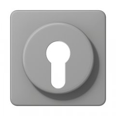 Virsma slēdzim ar atslēgu, termoplasts, Serie CD, grau