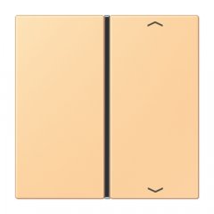 Taustiņs slēdzim 1-viet, ar virzienrādītāju, F40, Serie LS, terre sienne claire 59