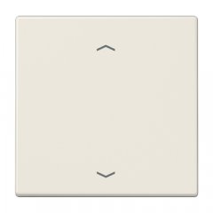 EnOcean slēdzis-raidītājs kanālu skaits 2, bultiņas simbols, Serie LS, ziloņkaula