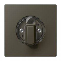 Virsma ar grozāmu slēdzi, Serie LS, ombre naturelle 31