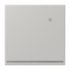 LED-dežūrgaisma ar integrētu spilgtuma sensoru, Thermoplast lackiert, Serie LS, gris clair 31