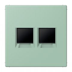 Virsma (ar fiksatoru) modulārai datu rozetei 2-vietīga, UMA-CAT6A, termoplasts lakots, Serie LS, vert anglais clair