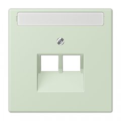 Virsma IAE/UAE-datu rozetei 2 x 8-polig, marķējams, termoplasts lakots, Serie LS, vert anglâis pale