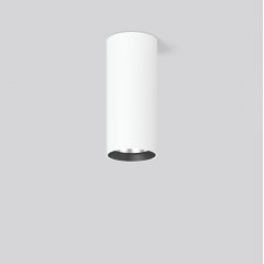 HELEDON mini, 29 W, 3900 lm, 940, white, on/off Surface mounted downlights, D 87 H 197, 60°