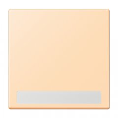 Taustiņs 1-viet, marķējams, Serie LS, ocre