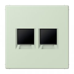 Virsma (ar fiksatoru) modulārai datu rozetei 2-vietīga, UMA-CAT6A, termoplasts lakots, Serie LS, vert anglâis pale